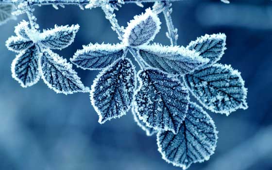 До 20 º морозу прогнозують синоптики на Черкащині