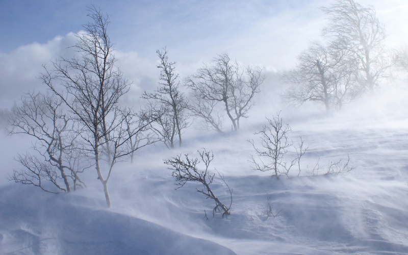 Снігопад в області прогнозують протягом усього дня