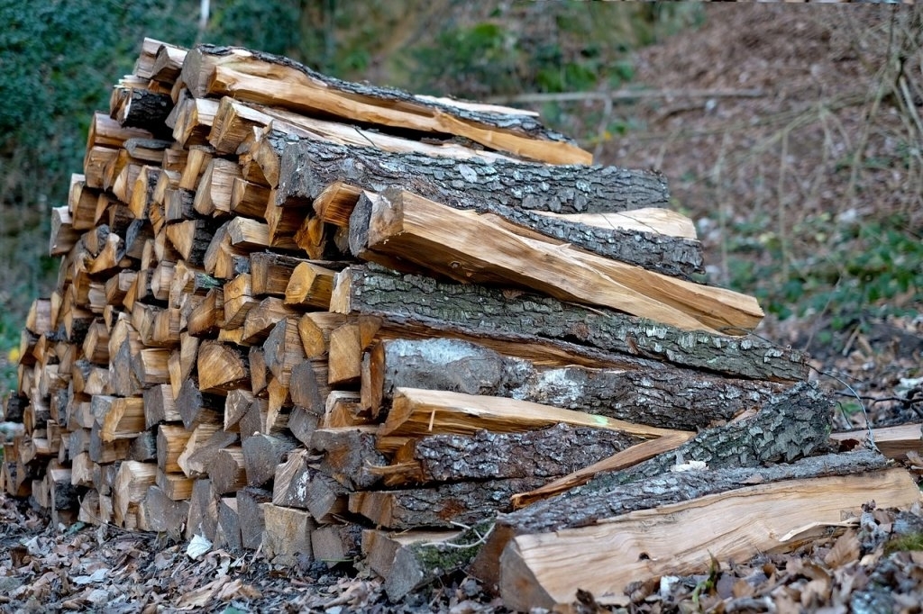 Стало відомо, скільки кубометрів деревини реалізували на березневих торгах