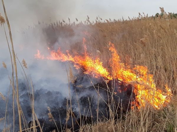 На Черкащині загорілася суха трава