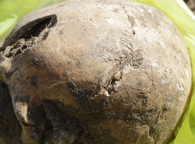 Понад 300 черепів зі слідами рубаних ран дослідили на Черкащині (ФОТО)