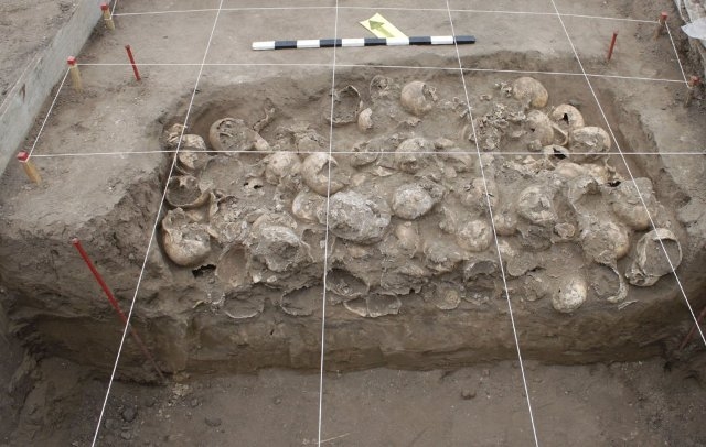 Понад 300 черепів зі слідами рубаних ран дослідили на Черкащині (ФОТО)