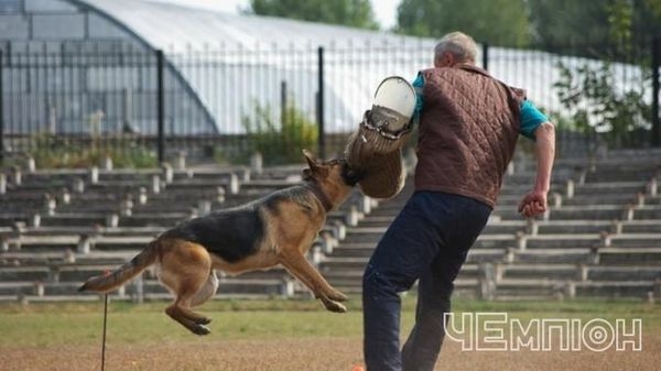 У Черкасах відбудеться чемпіонат спорту з собаками