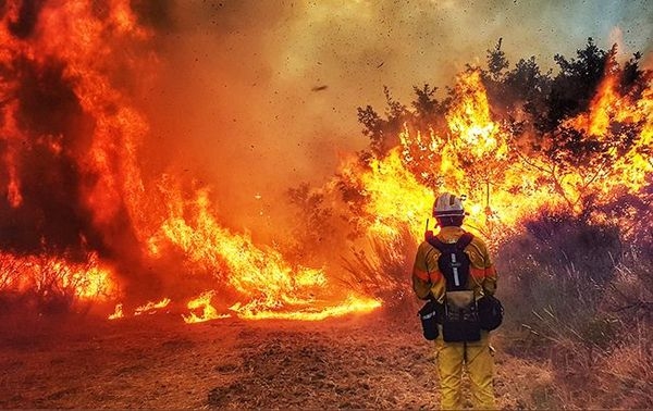 Черкаські лісівники попереджають про лісові пожежі