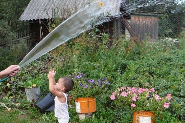 Час поливати городину