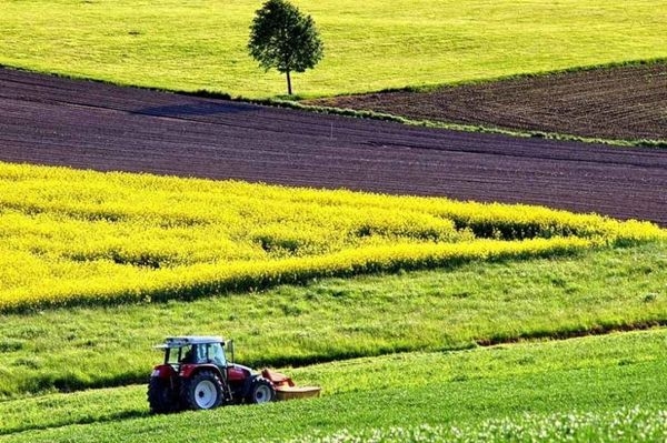 На Черкащині продали права оренди понад 1,7 тисяч гектара землі