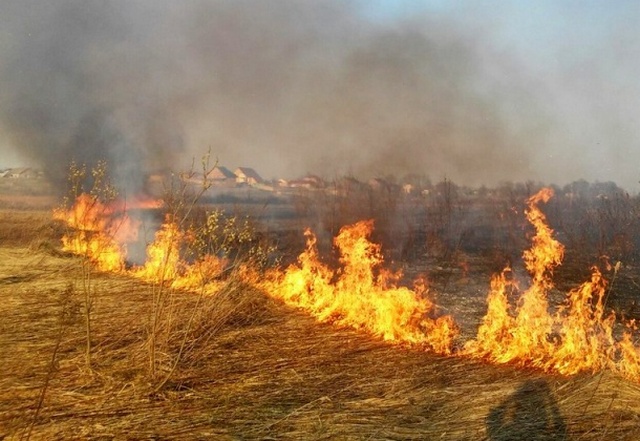 За добу рятувальники Черкащини ліквідували 2 пожежі