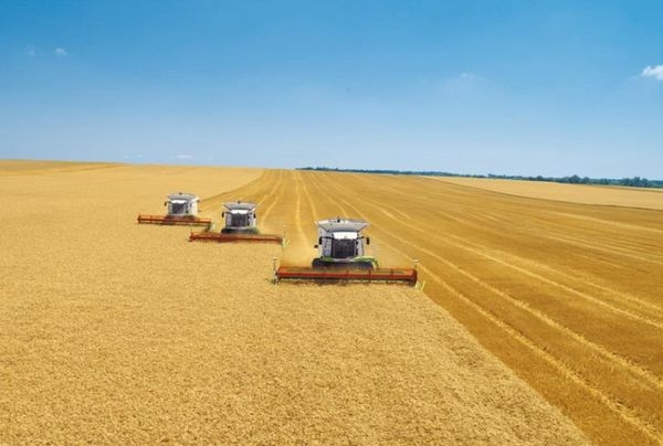 Черкаські аграрії намолотили вже 285 тисяч тонн зернових культур