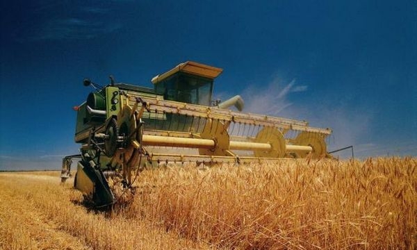 На Черкащині розпочали збирати ярі зернові культури