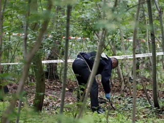 У Черкасах знайшли труп жінки під час прогулянки в лісі
