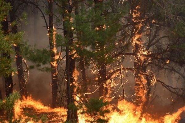 Протягом тижня на Черкащині надзвичайна пожежна небезпека