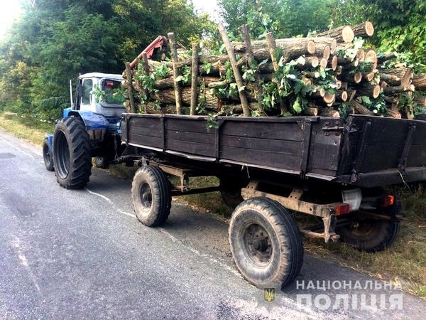 У Корсунь-Шевченківському районі поліцейські виявили незаконну порубку деревини