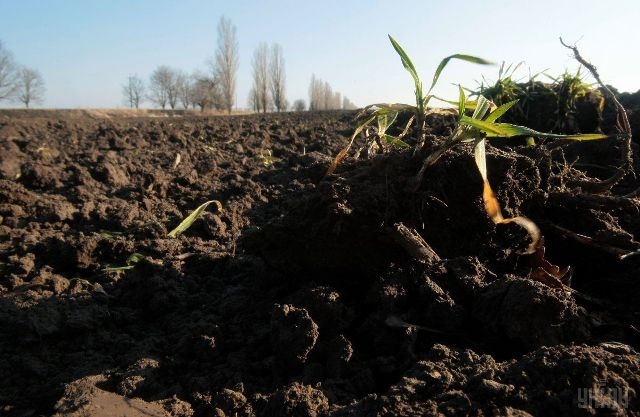 На Черкащині земельні рейдери спричинили збитків на 140 тисяч грн