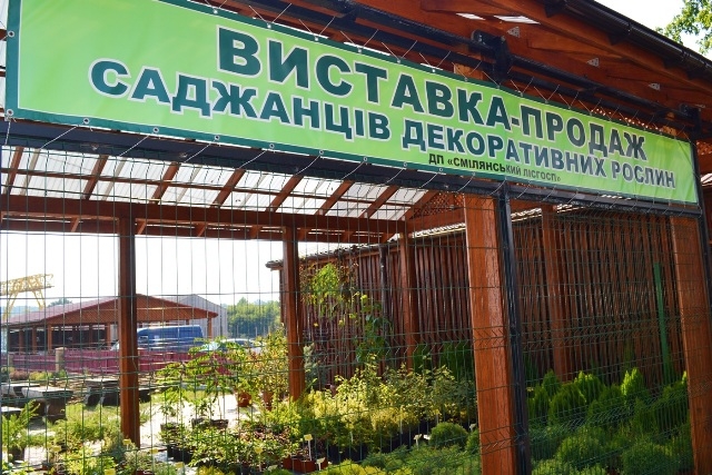 На базі Смілянського лісництва відкрили Центр продажу декоративних рослин