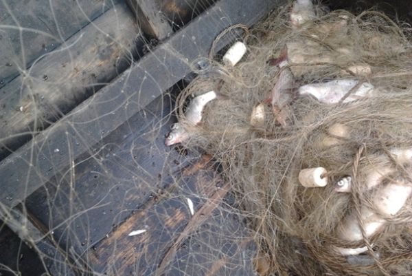 Понад 1 000 кг риби за тиждень вилучили у браконьєрів на Черкащині