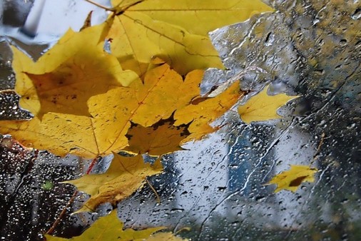 На Черкащині осінь змінює характер