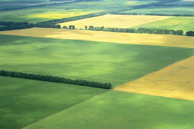 48 гектарів земель на Черкащині повернули державі