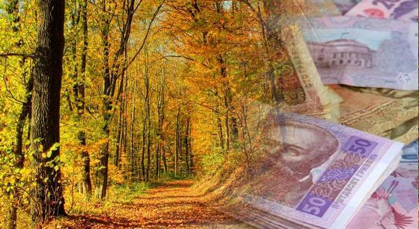 264 млн грн податків і зборів сплатили лісівники Черкащини
