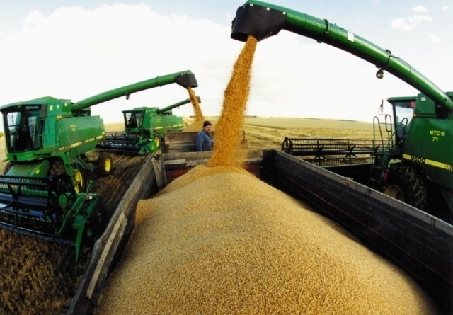 На Черкащині намолотили майже 3,5 млн тонн зерна