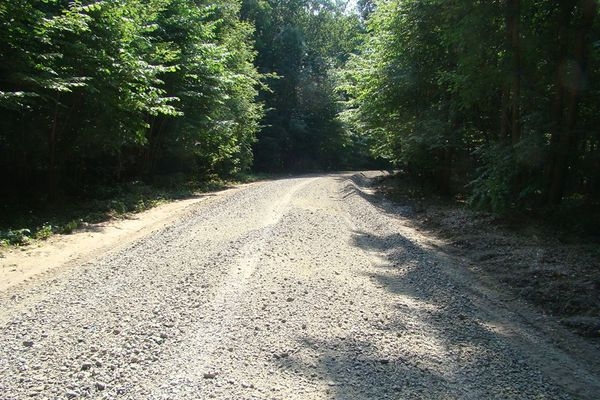 На Черкащині відновили майже 35 км лісових доріг