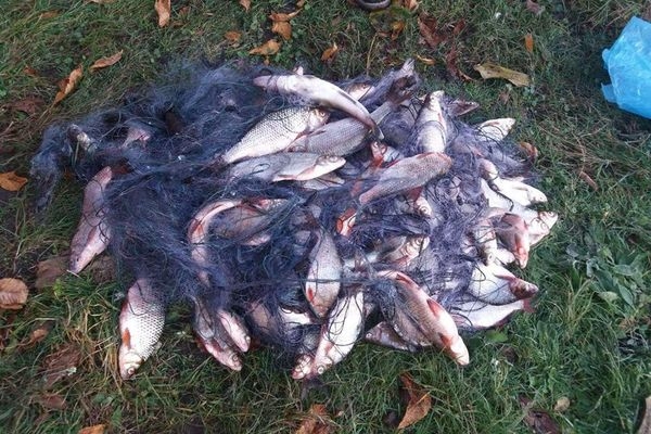 За тиждень на Черкащині викрили майже 100 випадків браконьєрства