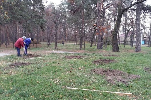 У парку в Черкасах висадили дві сотні саджанців дуба