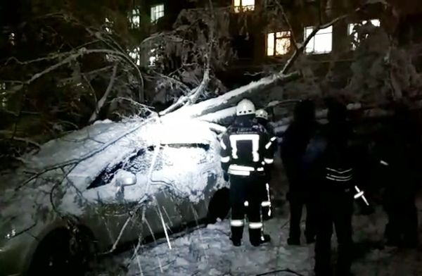 У Черкасах рятувальники прибрали завали дерев (ВІДЕО)