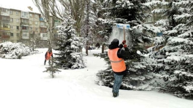 До наближення морозів рекомендують пострушувати сніг з дерев