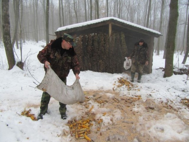 Смілянські лісівники годують диких тварин