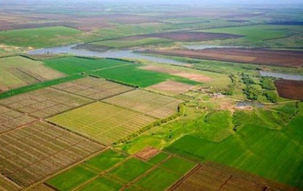 Експерти Держгеокадастру Черкащини торік опрацювали понад 10,5 тисячі проектів землеустрою з інших областей