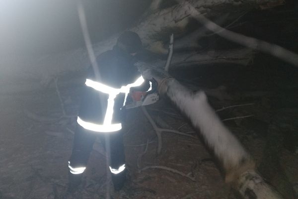 Тальнівські рятувальники прибрали повалені дерева з дороги
