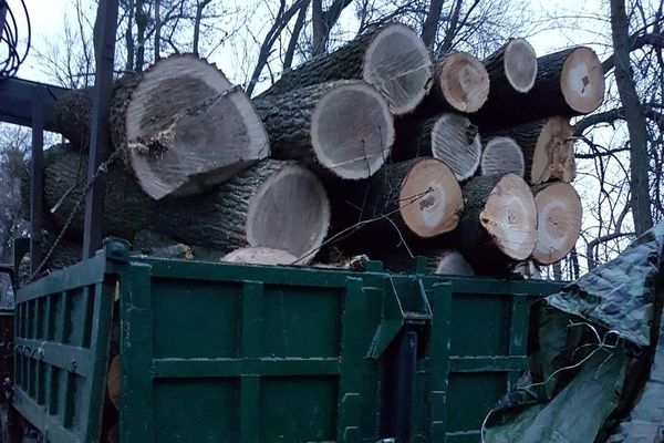 На Христинівщині затримали вантажівку із незаконною деревиною