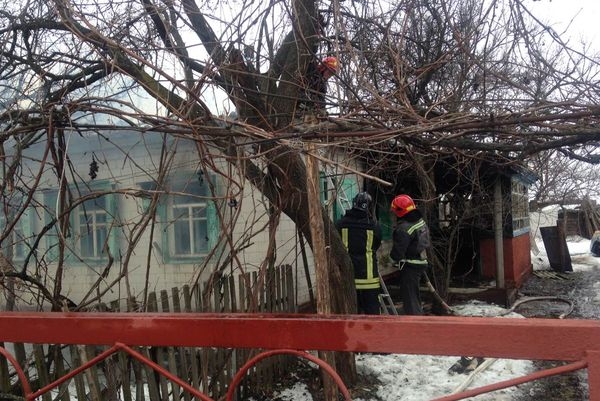 На Чорнобаївщині згоріла хата
