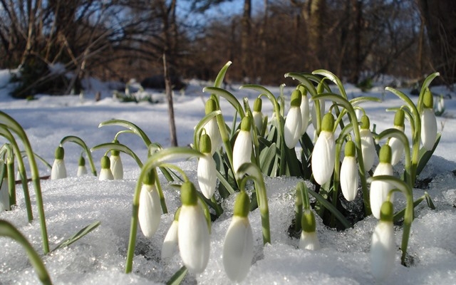 Синоптики передбачають весняні вихідні на Черкащині