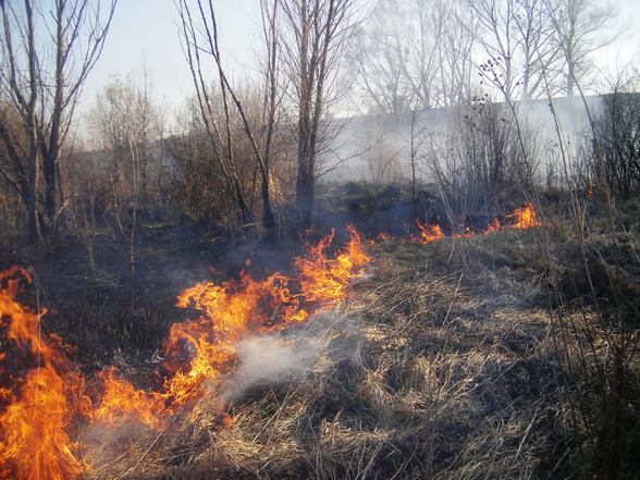 Сезон весняних пожеж на Черкащині