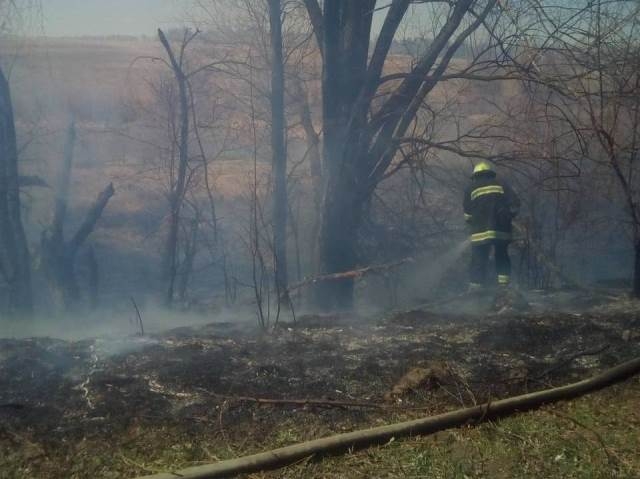 10 пожеж сухої трави та сміття ліквідували на Черкащині за добу (ВІДЕО)