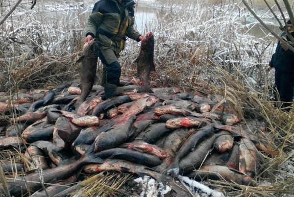 Рибний патруль на Черкащині викрив 541 правопорушення