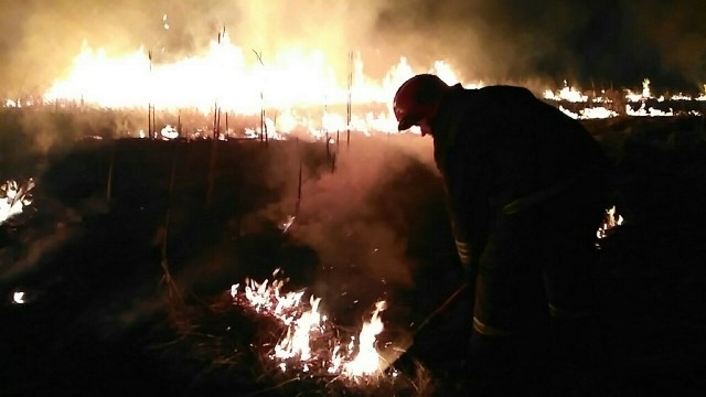 Рятувальники Черкащини продовжують боротьбу з пожежами в екосистемах (ВІДЕО)