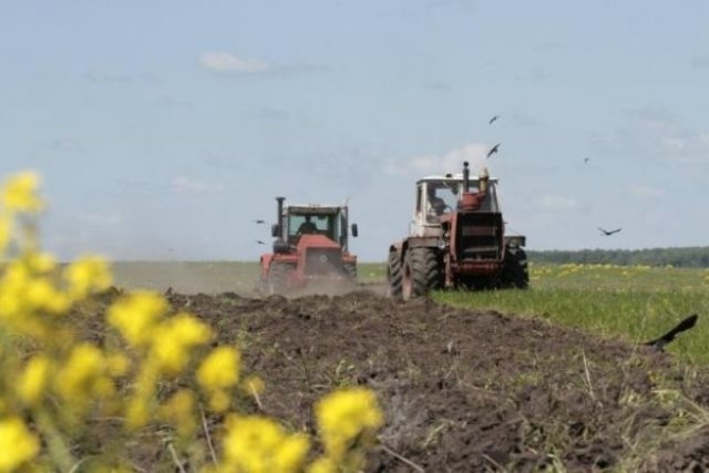 На Черкащині вже засіяли 40 тисяч гектарів