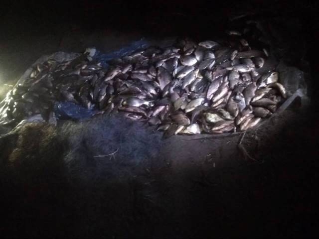 На річці Супій затримали браконьєрів із сітками (ФОТО)