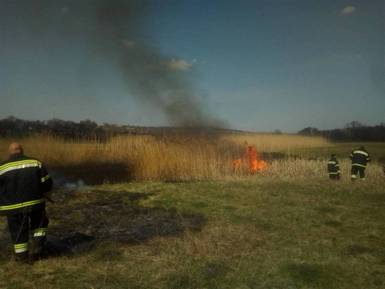 На Катернопільщині ліквідували пожежу сухої трави