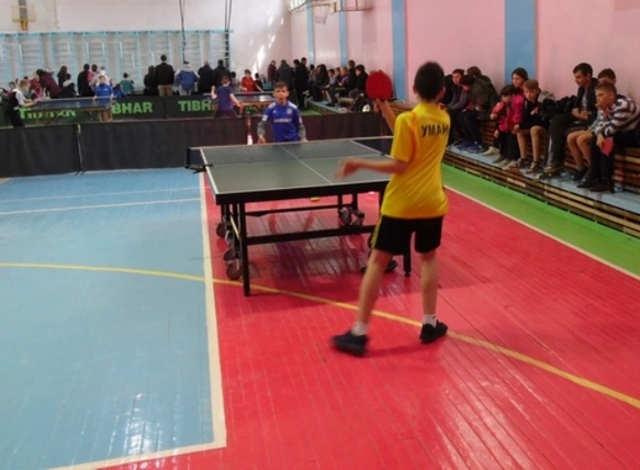 В Умані відбувся чемпіонат Черкаської області з настільного тенісу