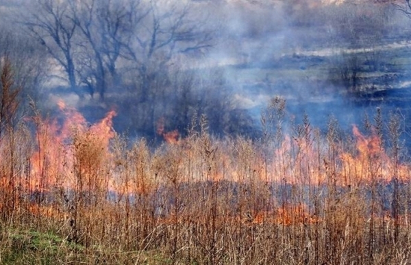 Черкаські рятувальники закликають громадян не провокувати пожежі (ВІДЕО)