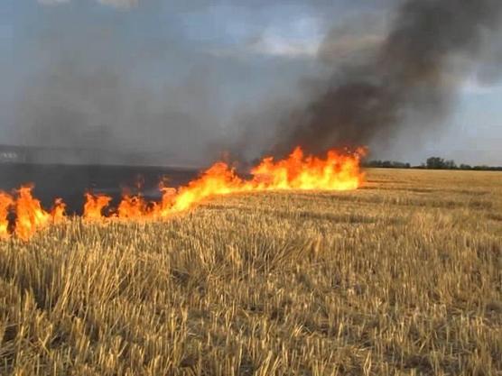 Черкаські рятувальники попереджають про небезпеку пожежі (ВІДЕО)