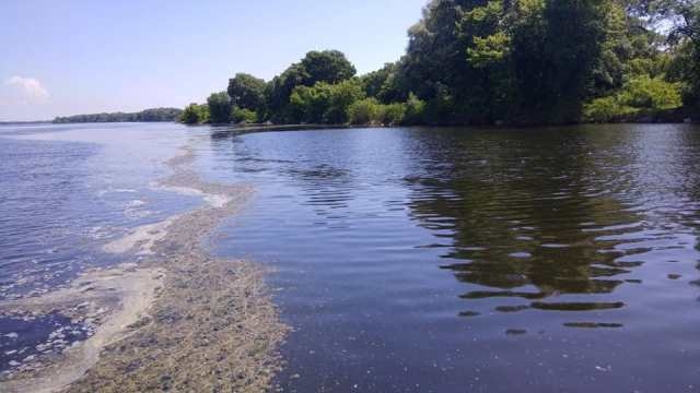 У річці Рось виявили перевищення забруднювальних речовин (ХСК)