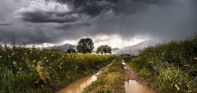 Мокра спека: синоптик розповів про особливості погоди на Черкащині