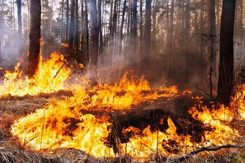 На вихідних на Черкащині утримається надзвичайна пожежна небезпека