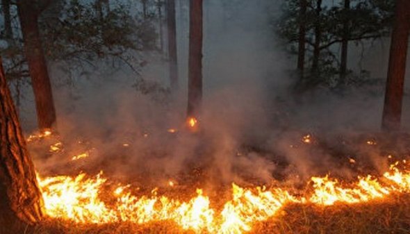 На Черкащині триває режим надзвичайної пожежної небезпеки