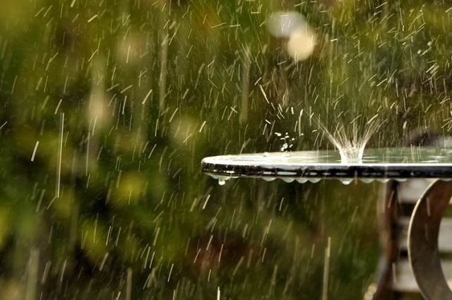 Завтра прогнозують дощі на Черкащині
