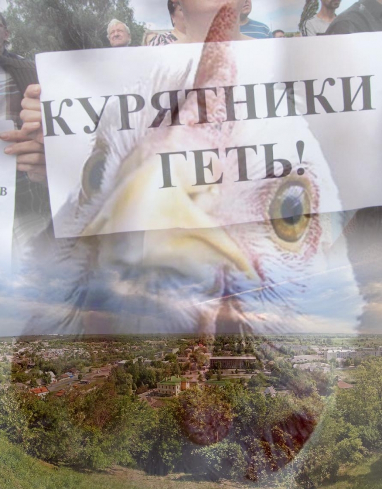 Птахобунти в Україні: черкащани проти будівництва курників «Нашої Ряби»